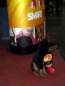 Heimtiermesse 2009   048